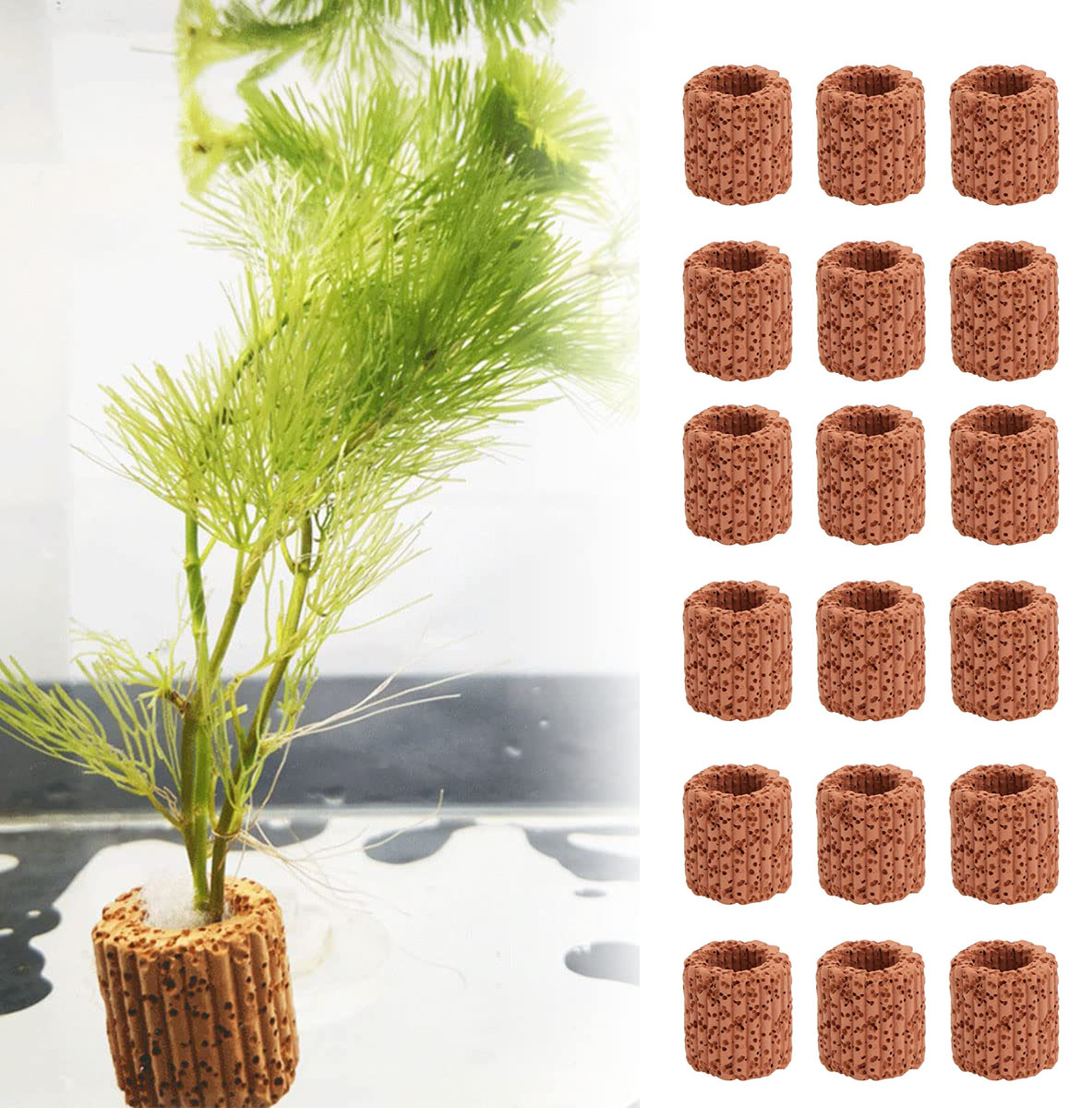Marine Aquarium All In One - 20 Cái/lốc Thủy Sinh Nước Nhẫn