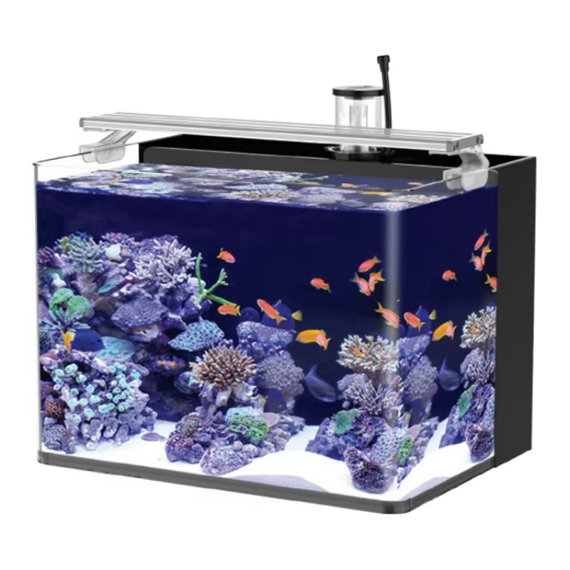 Marine Aquarium All In One - Table Curved Saltwater Marine Fish Tank