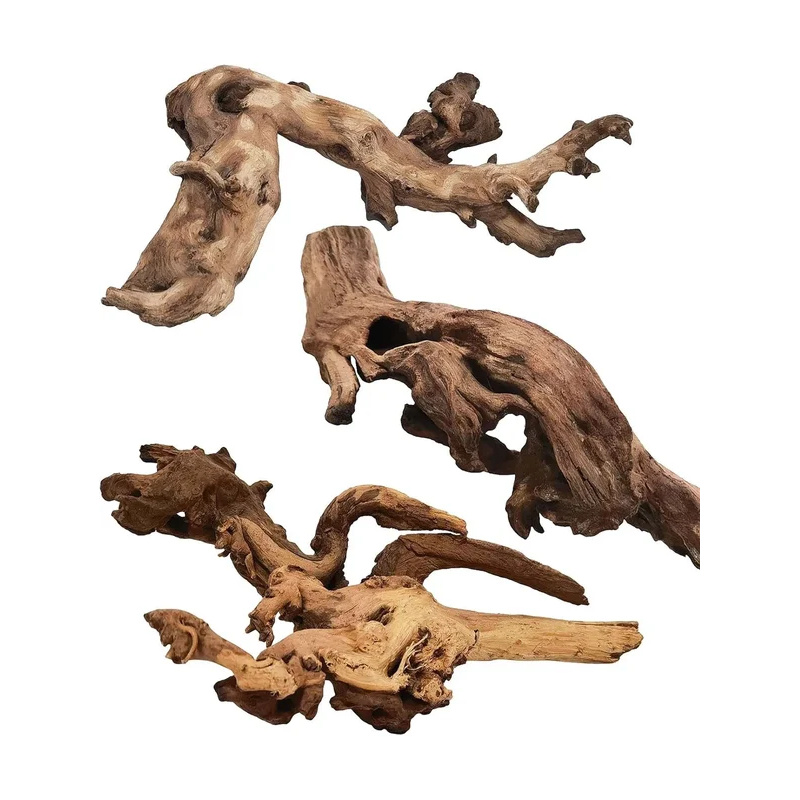 Natural Driftwood for Aquarium - đánh giá và giá Marine Aquarium All In One