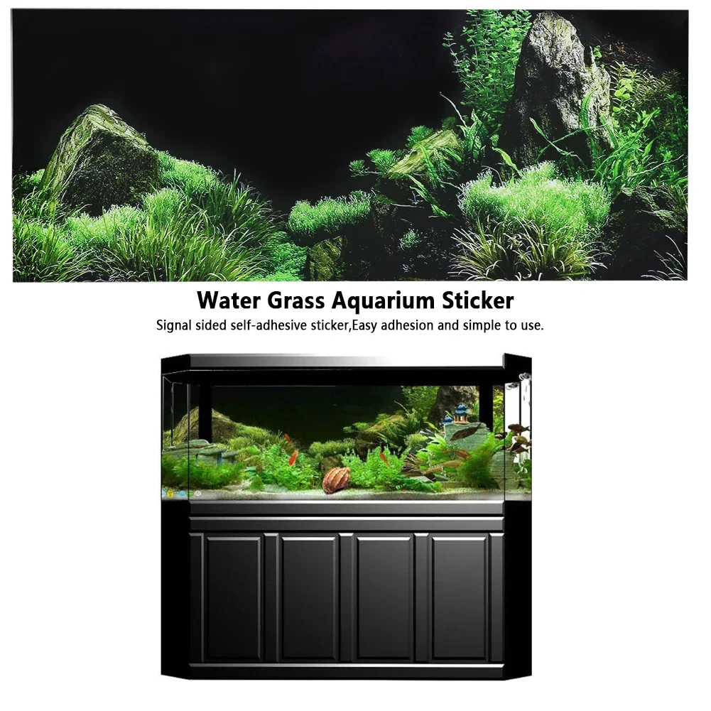 Background for Aquarium 3d Sti - đánh giá và giá Marine Aquarium All In One