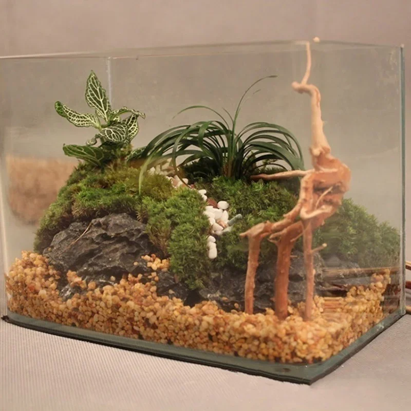 Natural Tree Trunk Driftwood A - đánh giá và giá Marine Aquarium All In One