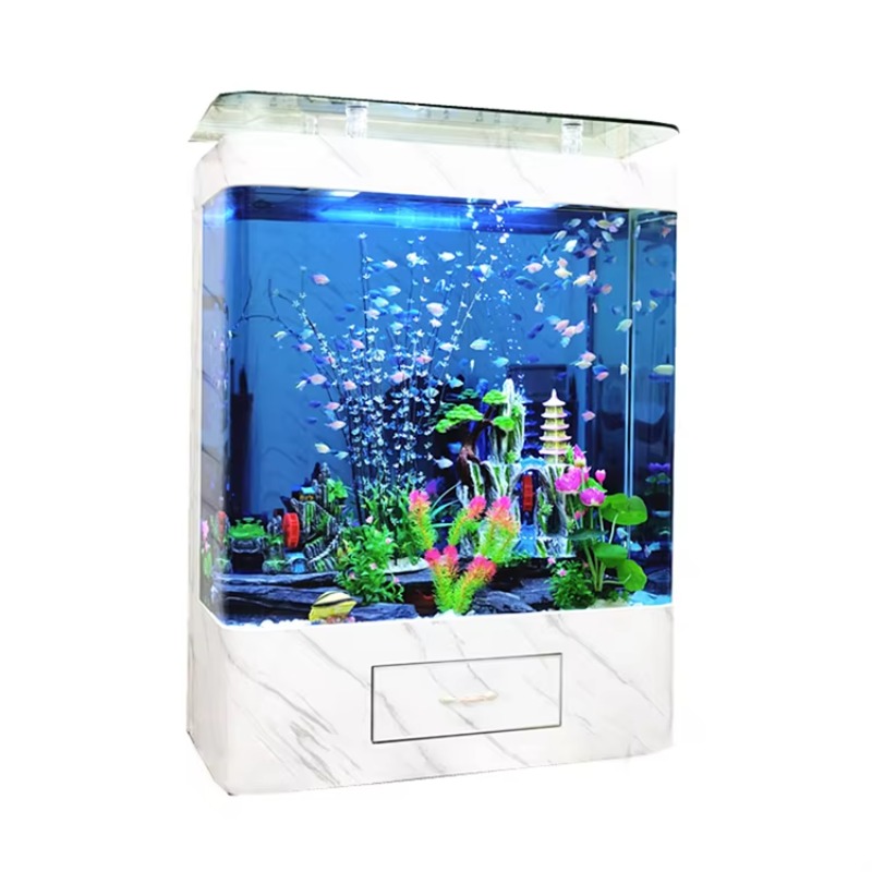 Marine 200 Gallon Glass Fish A - đánh giá và giá Marine Aquarium Design
