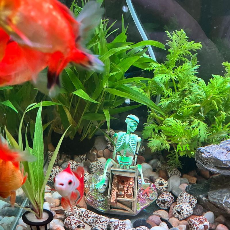 Fish Tank Aerobic Landscape Bu - đánh giá và giá Marine Aquarium All In One