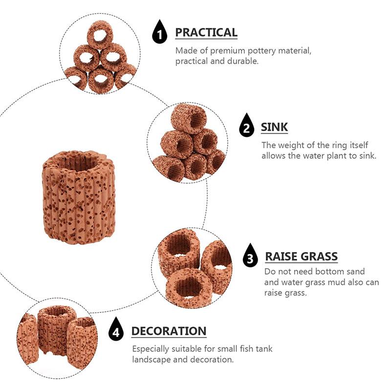 2026 New Jecod Jebao GCP Serie - đánh giá và giá Coral Frag Plug