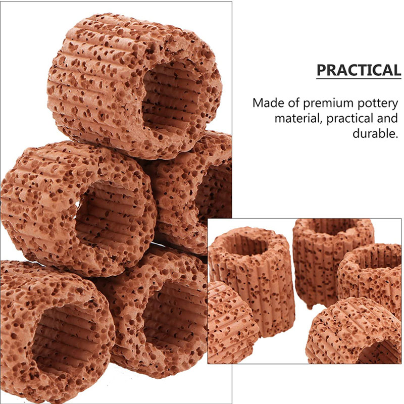 2026 New Jecod Jebao GCP Serie - đánh giá và giá Coral Frag Plug