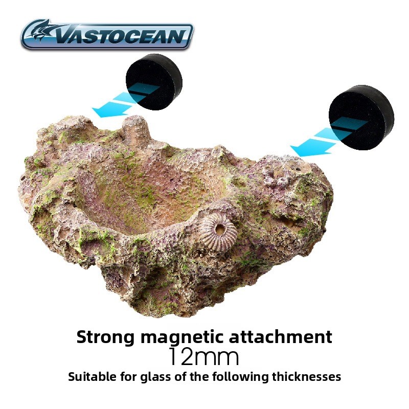 VASTOCEAN Magnetic Anemone Hol - đánh giá và giá Coral Frag Plug