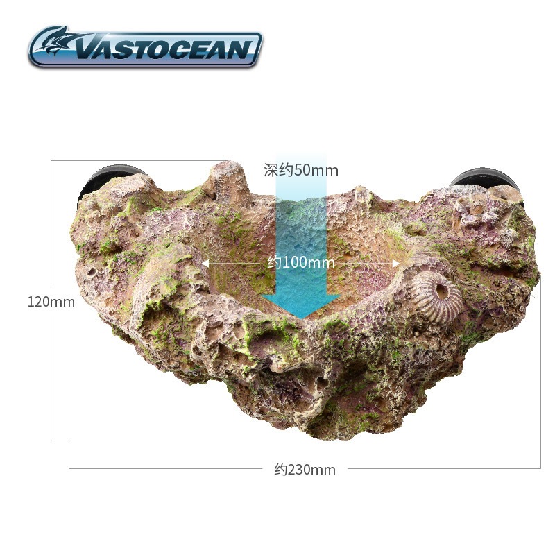 VASTOCEAN Magnetic Anemone Hol - đánh giá và giá Coral Frag Plug