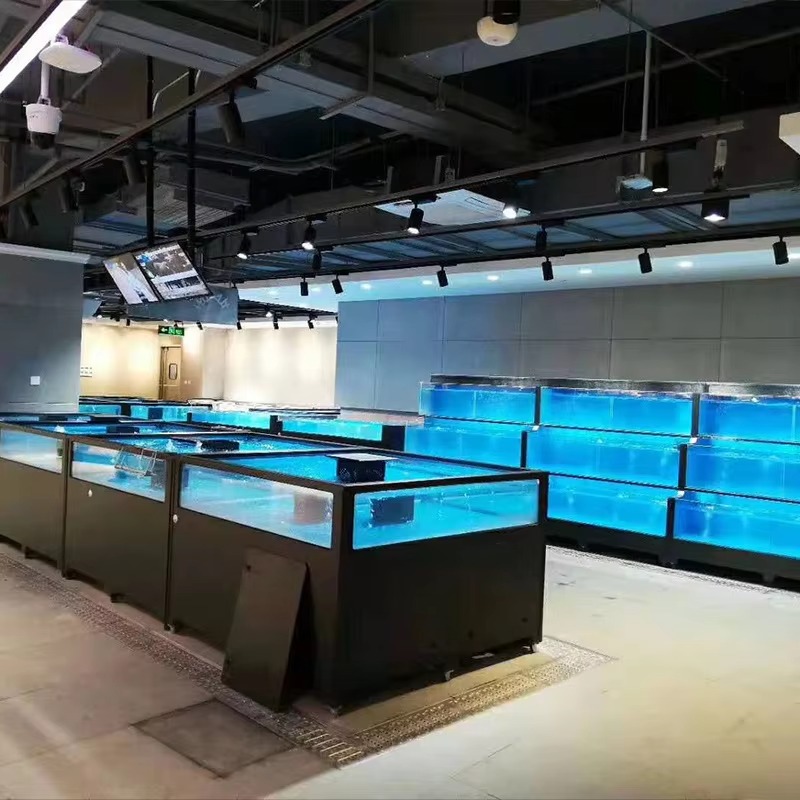 Square Glass Freshwater Fish T - đánh giá và giá Marine Aquarium All In One