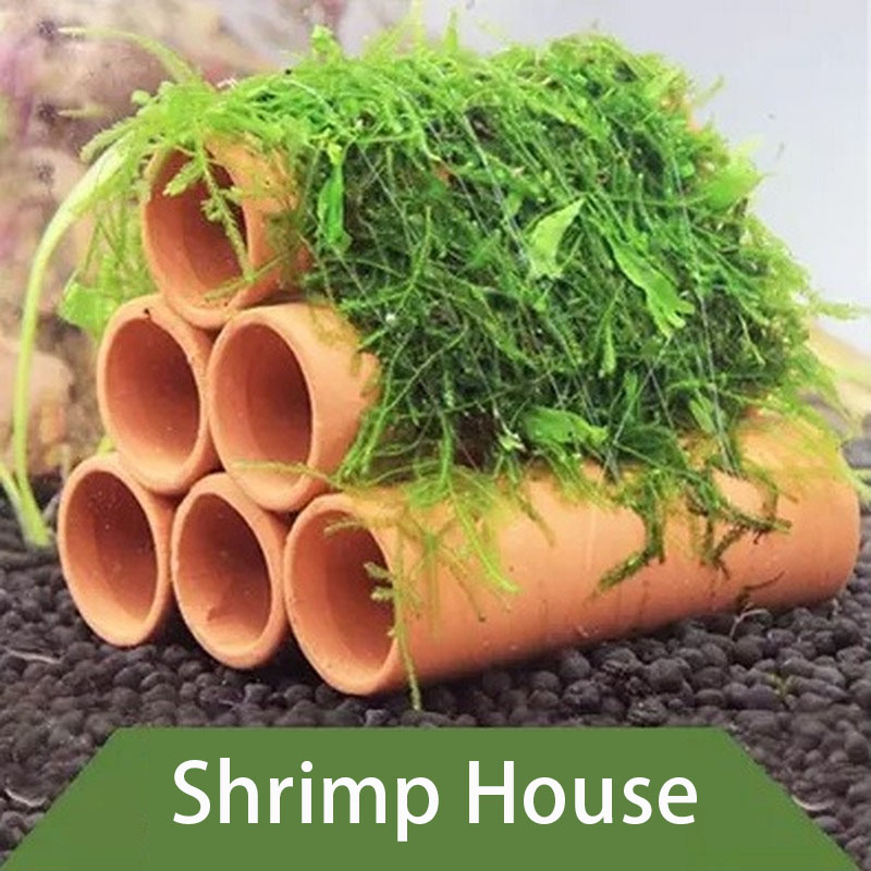 Đất Sét Trang Trí Bể Cá Tôm Ch - đánh giá và giá Marine Aquarium All In One