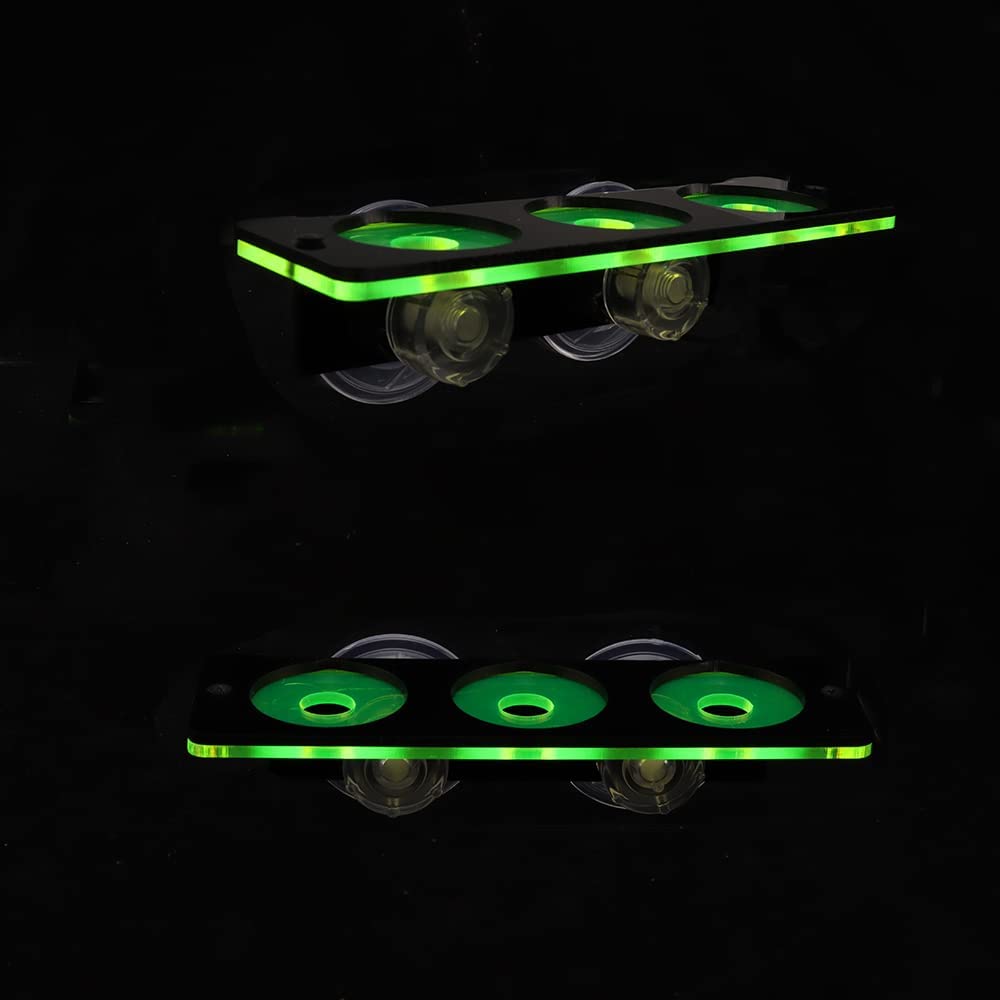 Cá Huỳnh Quang San Hô Frag-he  - đánh giá và giá Marine Aquarium Design