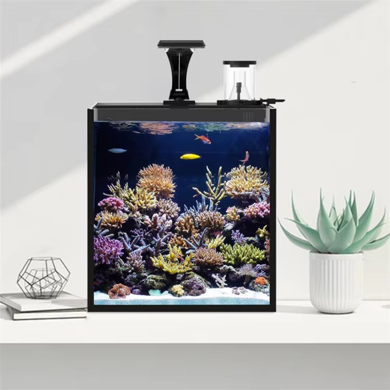 Table Curved Saltwater Marine  - đánh giá và giá Marine Aquarium All In One