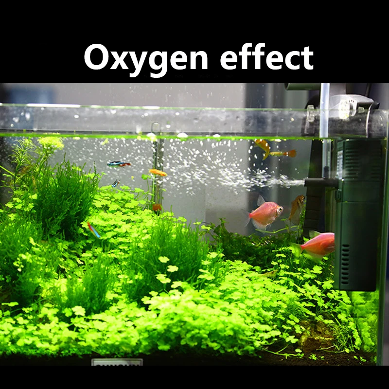 SUNSUN Nano Mini Xây Dựng Nội  - đánh giá và giá Marine Aquarium Design
